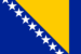 Bosnia and herzegovina flag