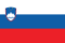 Slovenia flag